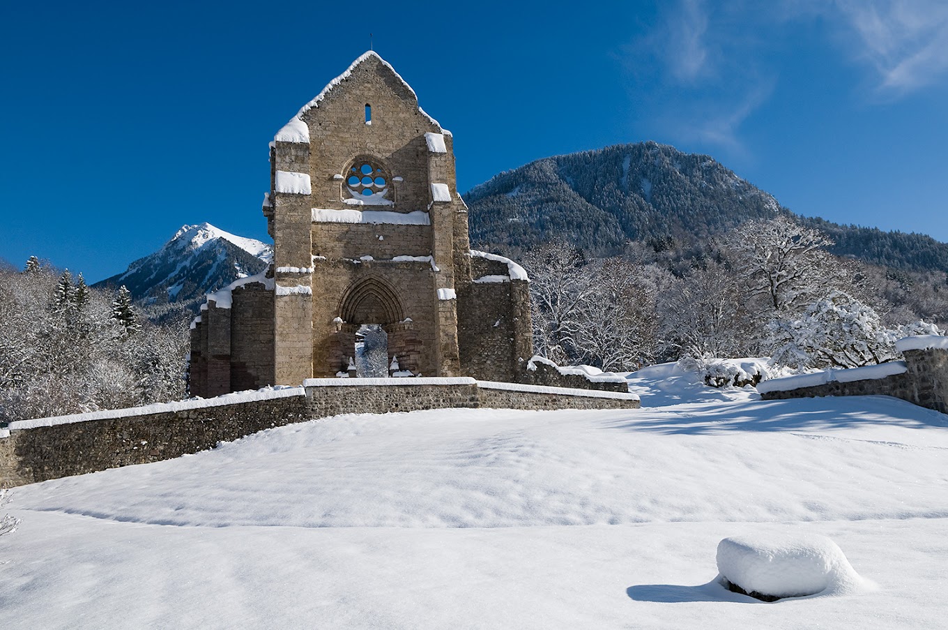 agence immobiliere mieussy