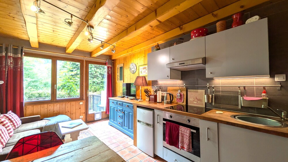 Vente Appartement SAINT JEAN D AULPS
